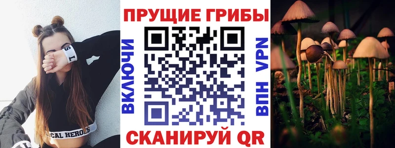 Псилоцибиновые грибы Cubensis  купить наркотики цена  Симферополь 