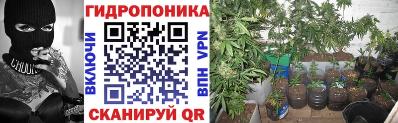 сайты даркнета наркотические препараты  omg вход  Симферополь  Конопля планчик 